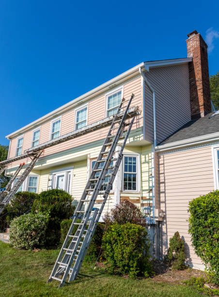 Best Carpet Removal and Disposal  in Waynesboro, VA